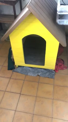 Casa para cachorro