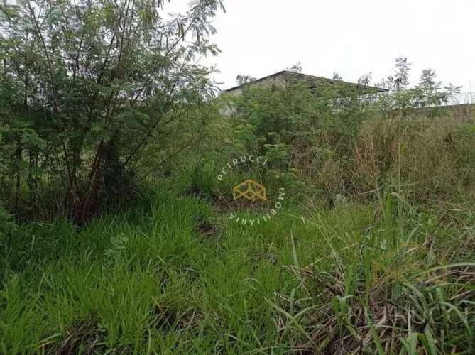 Terreno à venda, 300 m² por R$ 380.000,00 - Cidade Universitária - Campinas/SP