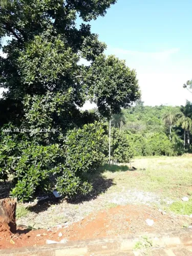 Terreno para Venda em Londrina, Parque Jamaica