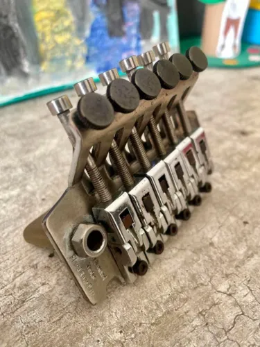 Ponte Flutuante Washburn lic. By Floyd Rose