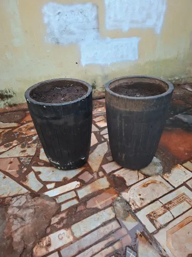 Vaso planta