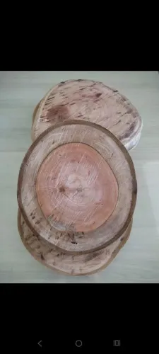 Bolacha de eucalipto vermelho para artesanato 