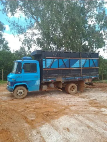 Caminhão boiadeiro