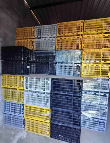 CAIXA AGRÍCOLA