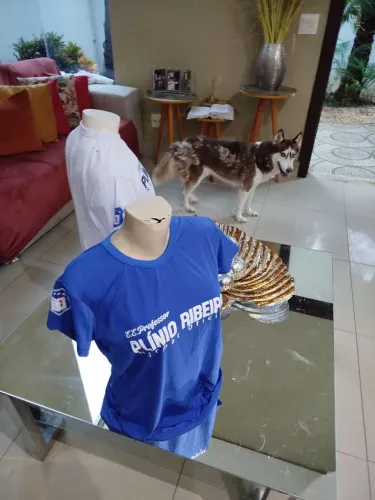 Uniformes da Escola Normal com Qualidade Pontualidade e Preço Justo 