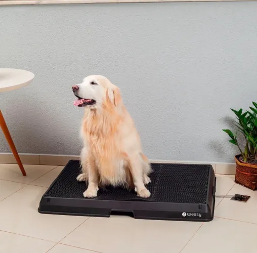 Banheiro inteligente Weasy
