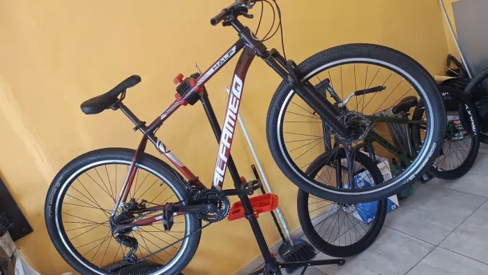 Bike aro 29 Alfameq T19