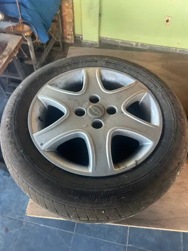Roda ara 15