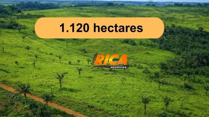 Vende-se Excelente fazenda com 1.120 hectares na Zona Rural de Apuí/AM