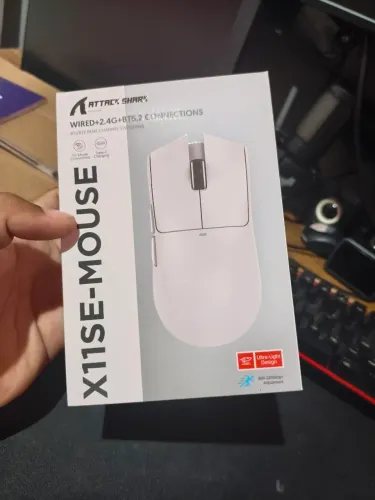 Mouse x11