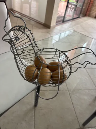 Cesta porta ovos galinha aramado
