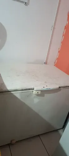 Freezer horizontal