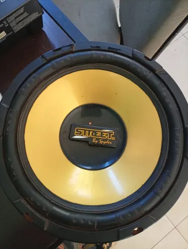 Alto-Falante Subwoofer Profissional - Grave Forte e Batida Seca de Alta Potência