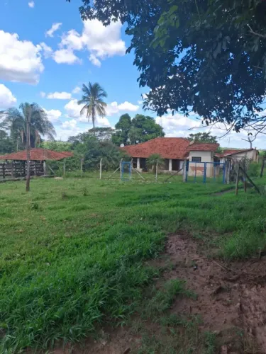 Sítio com 14 Alqueires às Margens da BR-153 | Renda Ativa | Estrutura Completa | Próximo a