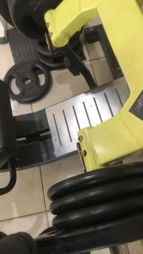 ACADEMIA e Musculação