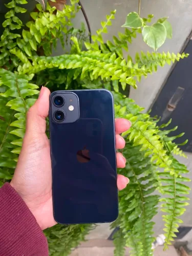 IPhone 12 Mini