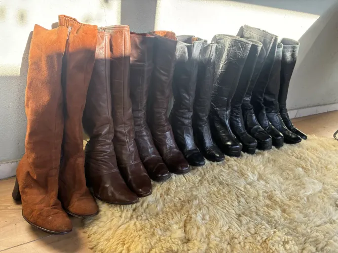 Bota