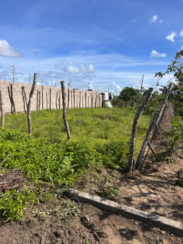 Terreno em Teotônio Vilela 