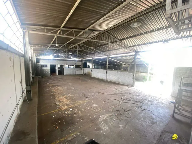 Galpão Comercial para Aluguel em Betânia (Belo Horizonte) 1.000 m²