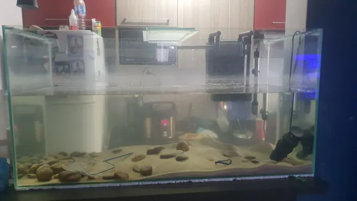 Aquário de 200L no pretinho. R$600