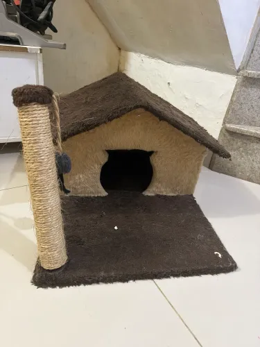 Casa de gato 