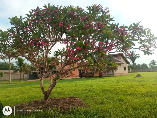 Chácara dentro da cidade, chacareiro do Jardim Santana.