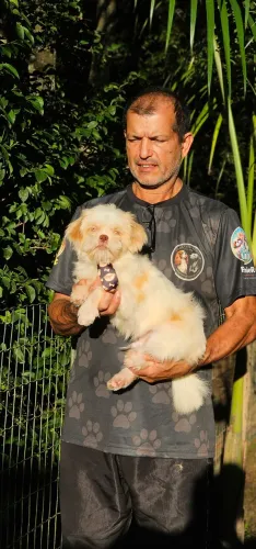 Shih-tzu 5 meses - Filho de Albino