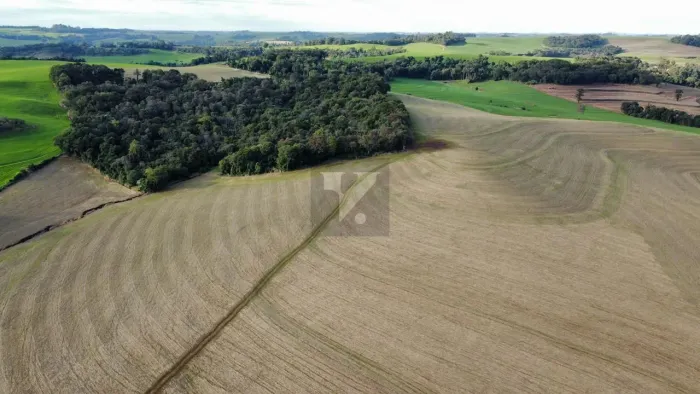 Fazenda Produtiva à Venda em Santa Izabel do Oeste/PR 46 Alqueires