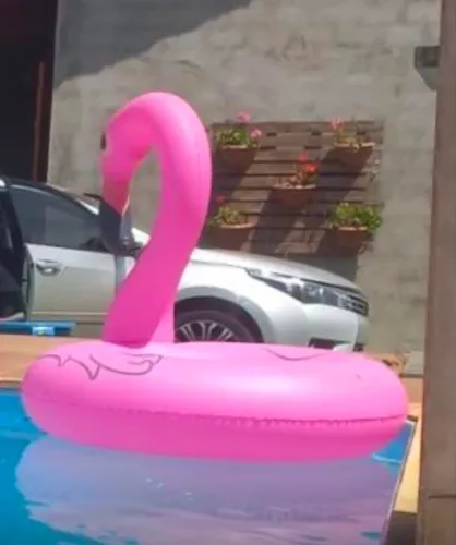 Boia flamingo grande o piscina
