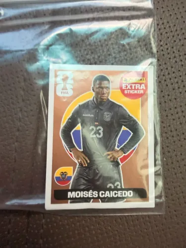 Extra stickers Moisés caicedo