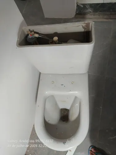 Vendo vaso sanitário cellite