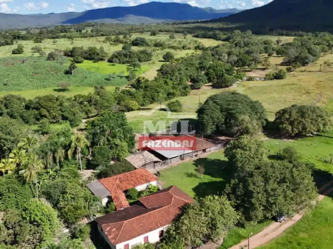 Fazenda 241 Alqueires (1.166,9 hectares) Crixás - GO