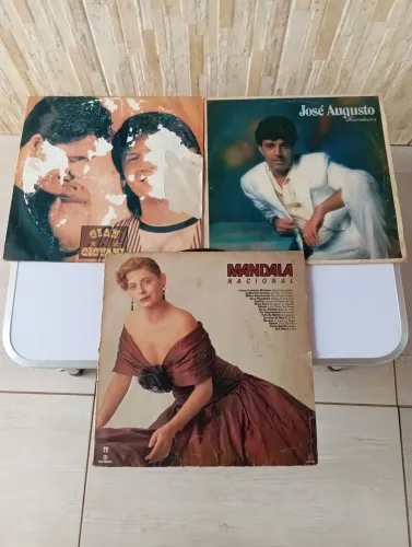 Lote de vinil com 10 unidades