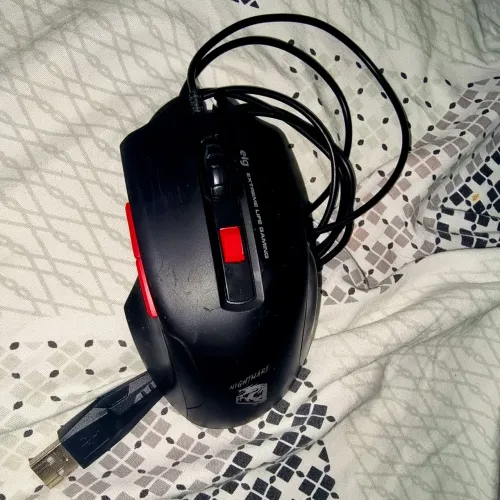 Mouse