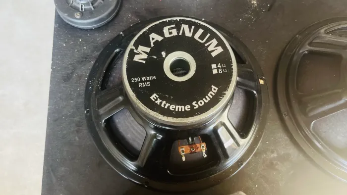 Alto falante Magnos 12? 250Rms 4Ohmos