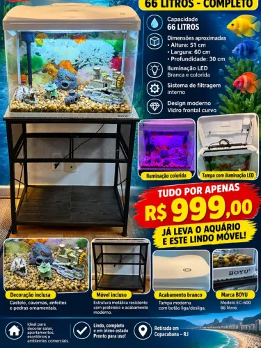 Aquário boyu