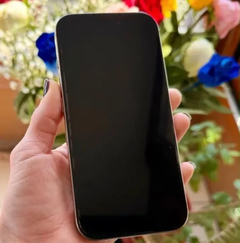 iPhone 16pro