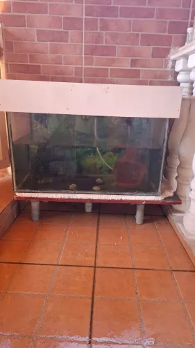 Vende-se aquario básico 