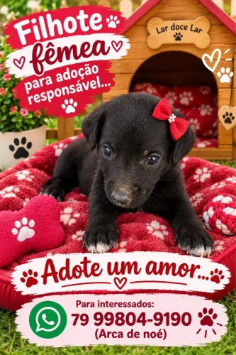 Adoção ?
