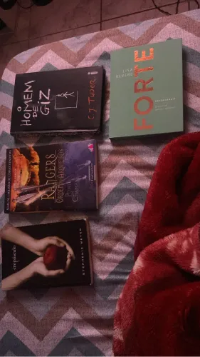 vendo livros crepusculo - homem de giz