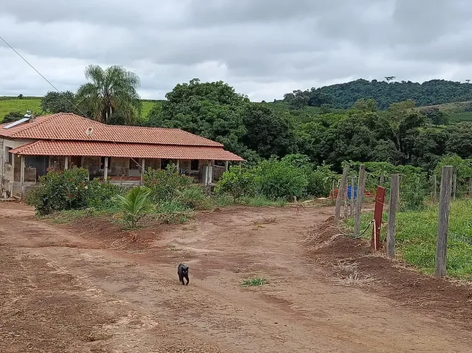 Venda de Chacara