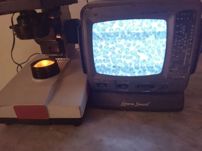 Microscópio