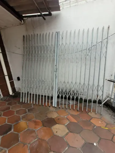 Pantografica