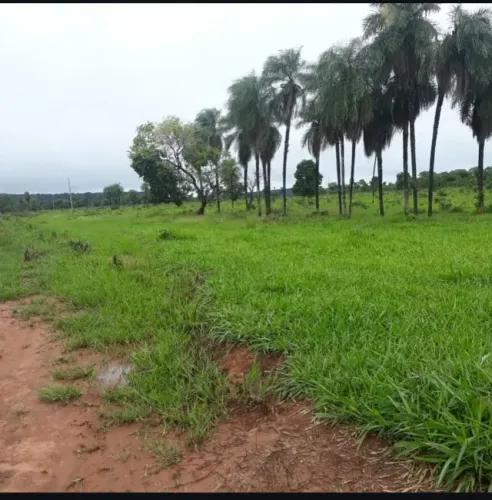 FAZENDA NO MATO GROSSO-MT DOCUMENTADA.Aceito carro como parte do pagamento