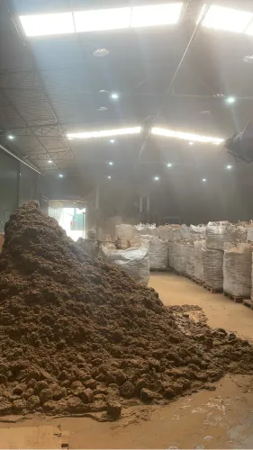 Briquete de algodão ensacado saco de 20 kgs
