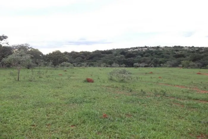 Lindas fazendinhas de 20.000m² com córrego nos fundos. Serra do Cipó (Temos varias opções)