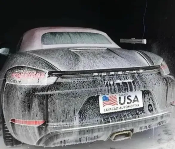 Polidor ,Higienizado ou lavador profissional