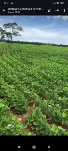 Chácara 12.30 alq. Em Adelândia Go. Planta 10.30 R$:325.000 o alq.
