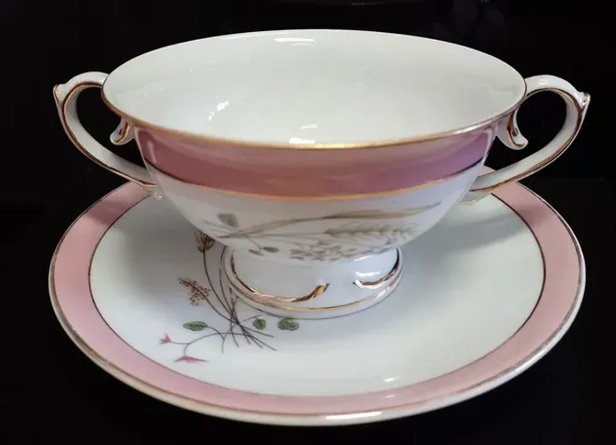 Xícara porcelana consomê