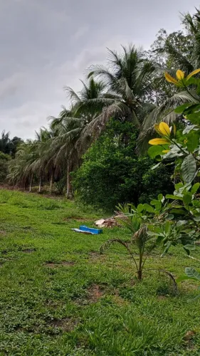 SÍTIO 200x1000 DOCUMENTAÇÃO ATUALIZADA 